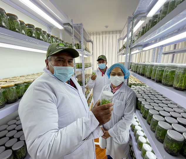 Laboratorios Cajenual