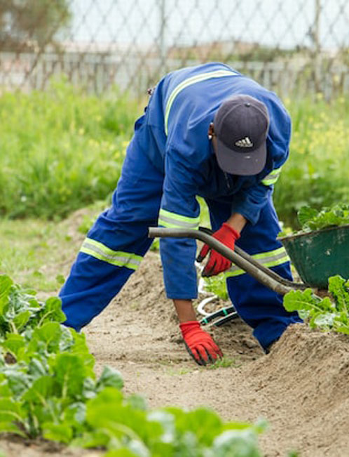 Trabajando en el campo